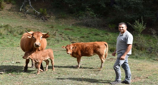 Historia de Iberaval 