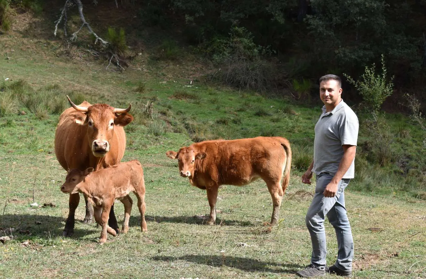 Iberaval y Manuel Fernandez