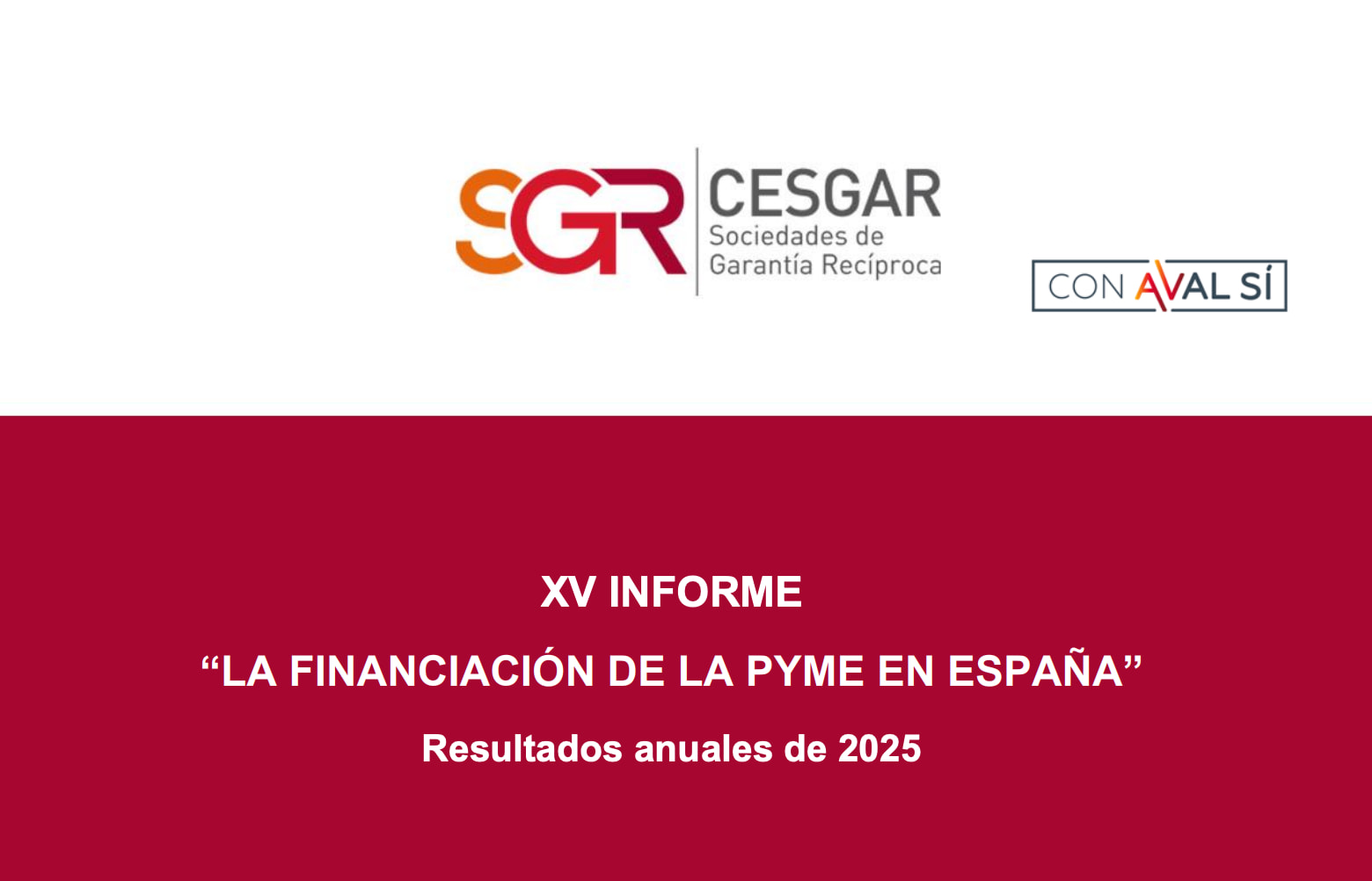 xv informe financiacion pyme espana 2025